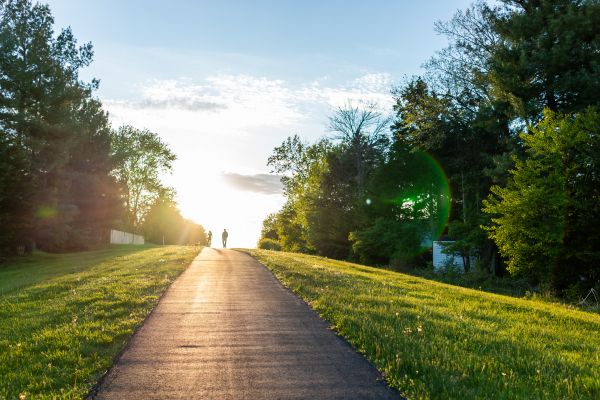 Asphalt Pathway Installation in Concord